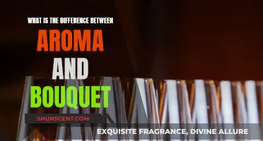 Aroma vs Bouquet: Scented Language Explained