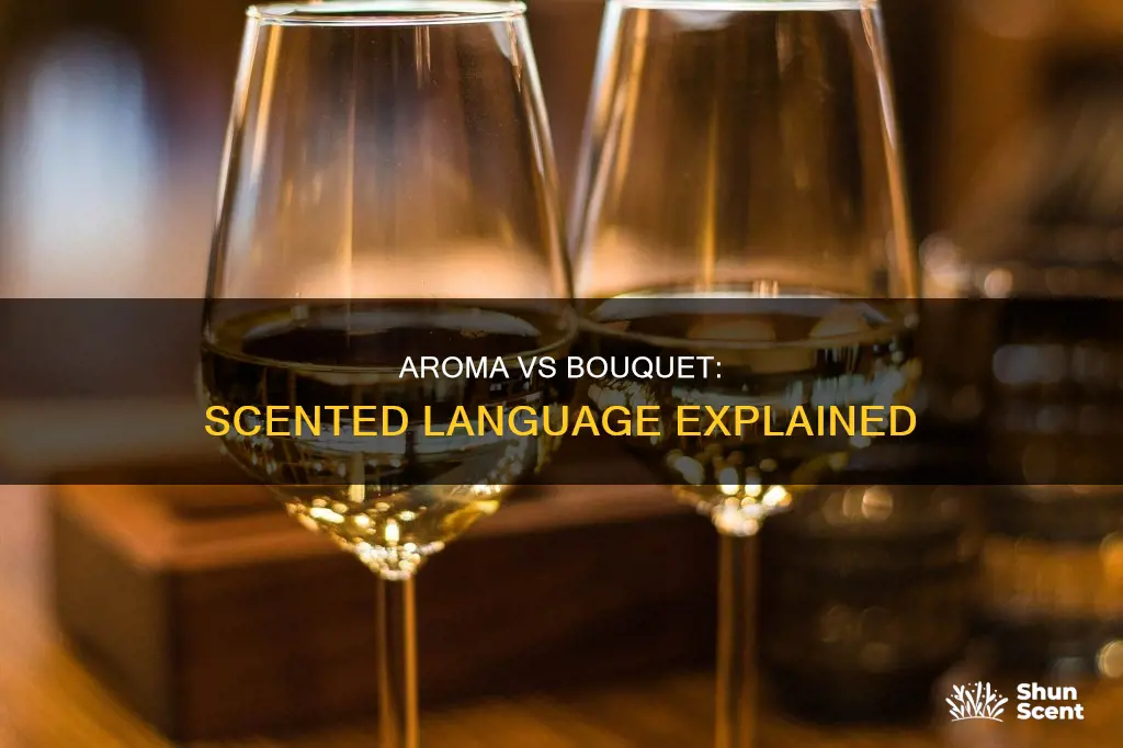 what is the difference between aroma and bouquet