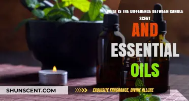 Candle Scents vs. Essential Oils: Understanding the Aromatic Difference