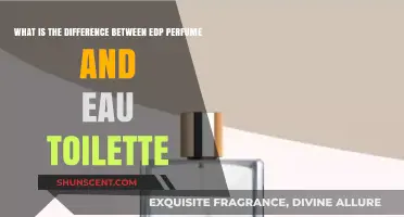 Explore the Fragrance Pyramid: EDT vs EDP