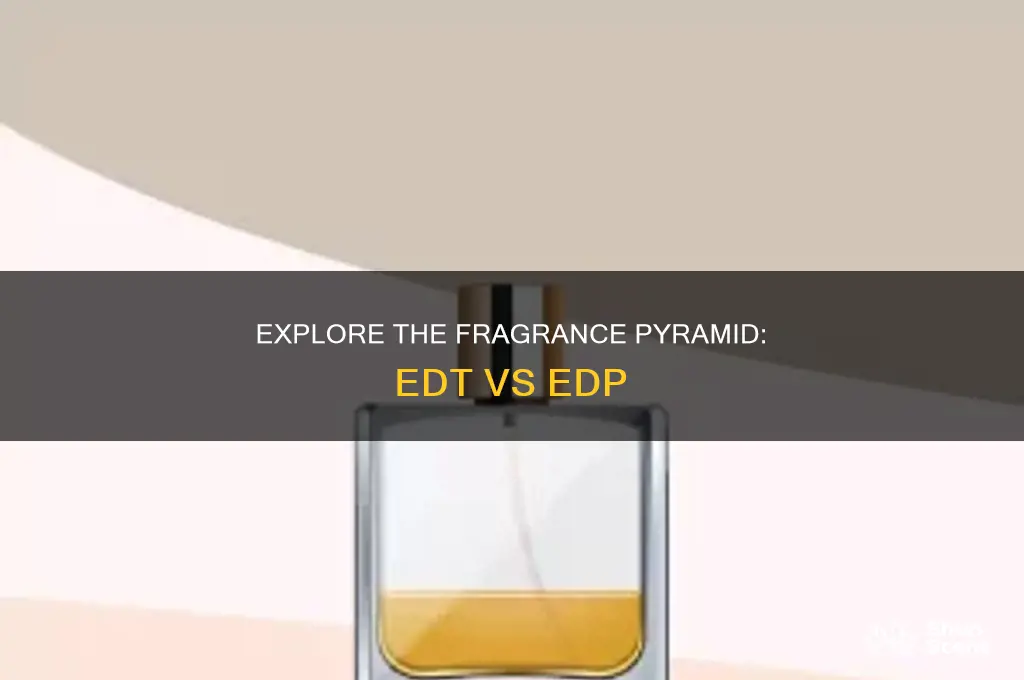 what is the difference between edp perfume and eau toilette