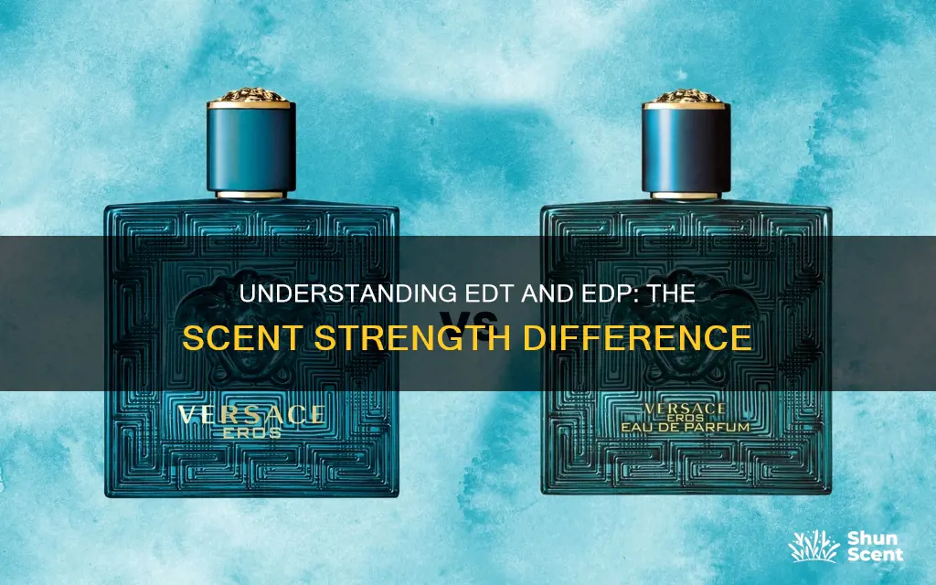 what is the difference between edt and edp cologne