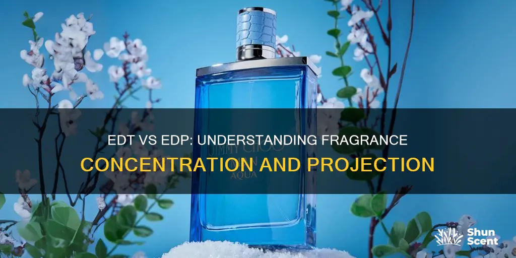 what is the difference between edt and edp fragrances