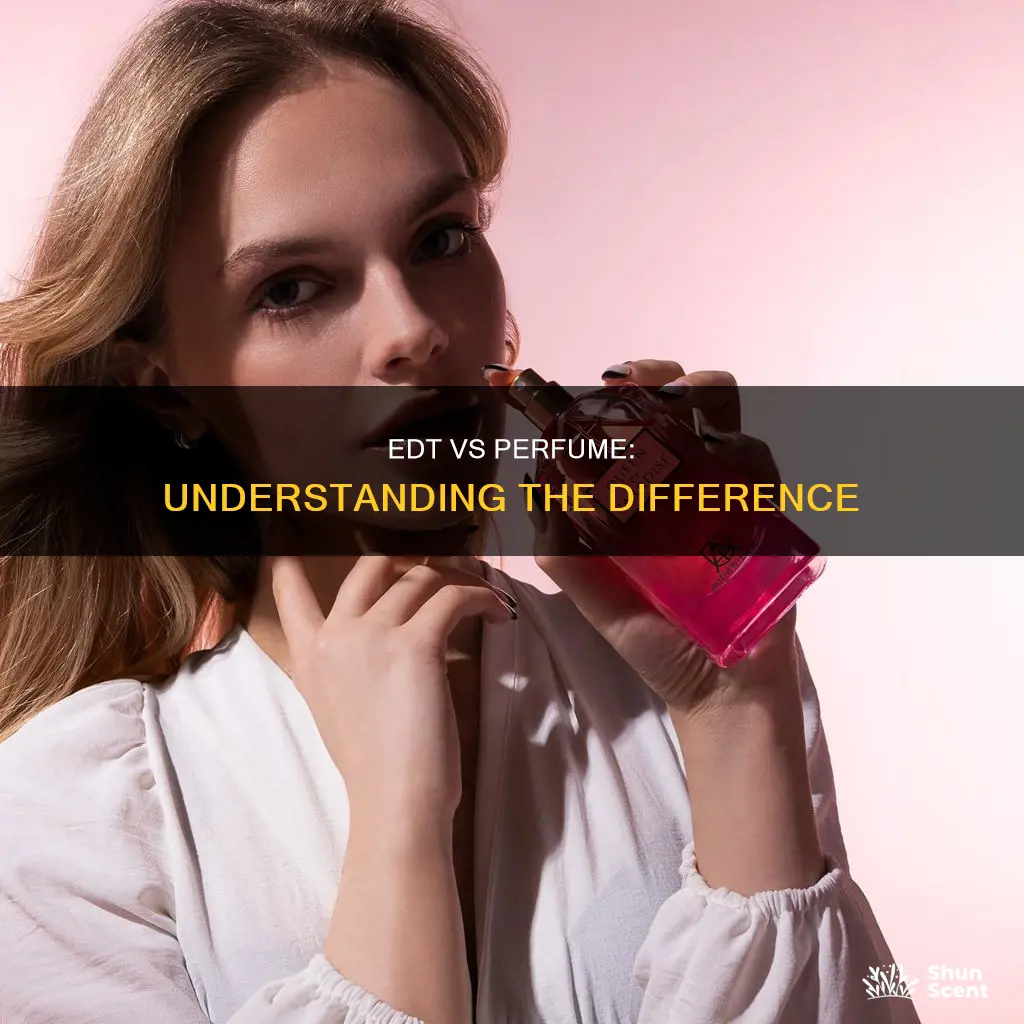 what is the difference between edt and perfume