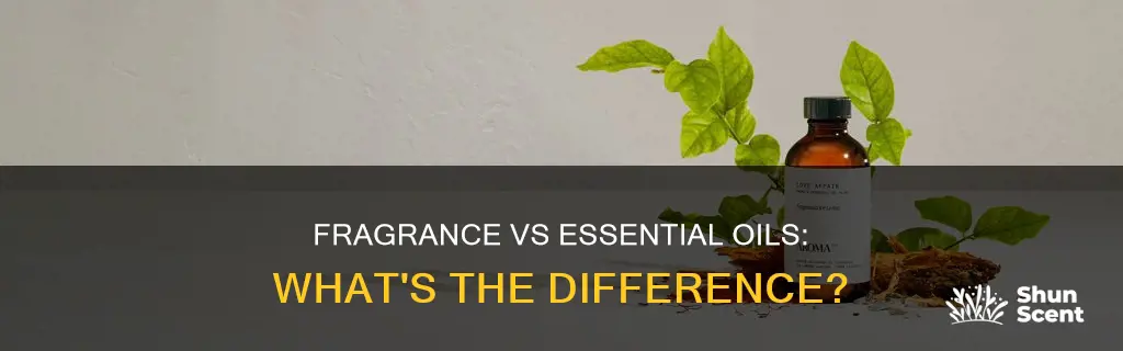 what is the difference between fragrance oil and essential oil