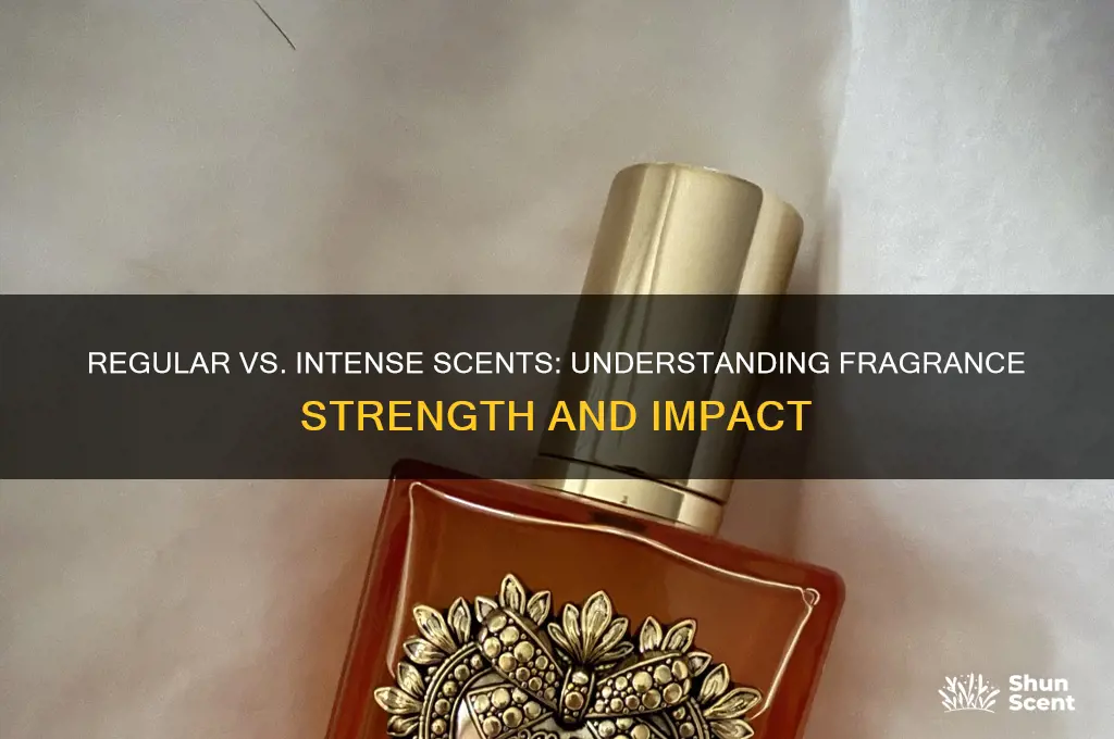 what is the difference between regular and intense scent