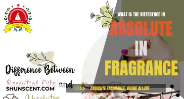 Understanding Absolute Fragrance: The Art of Pure Aromatics
