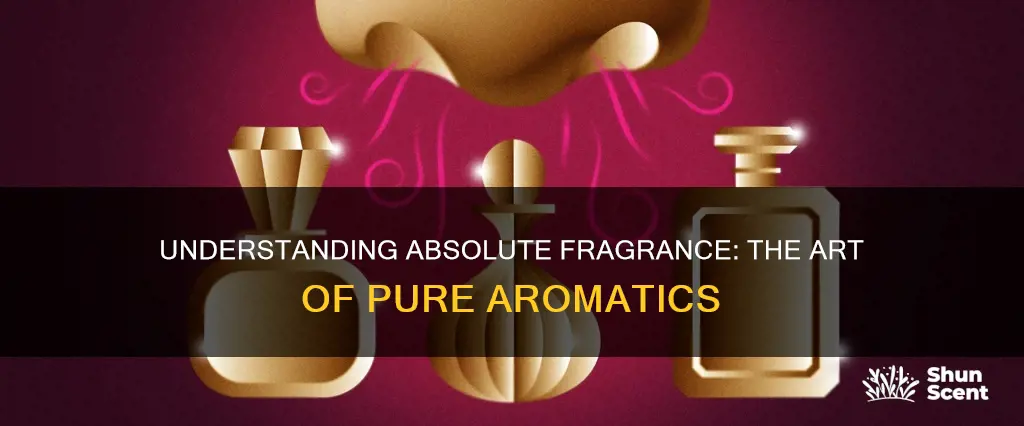 what is the difference in absolute in fragrance