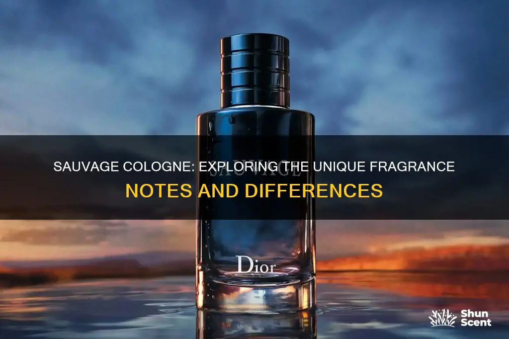 what is the difference sauvage cologne