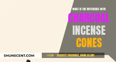 Charcoal vs Incense Cones: What's the Difference?