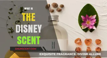 Unveiling the Magic: What is the Disney Scent?