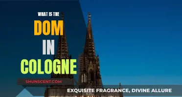 The Cologne Conundrum: Unraveling the DOM Mystery