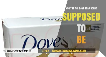 Unveiling the Mystery: What is Dove Soap's Signature Scent?