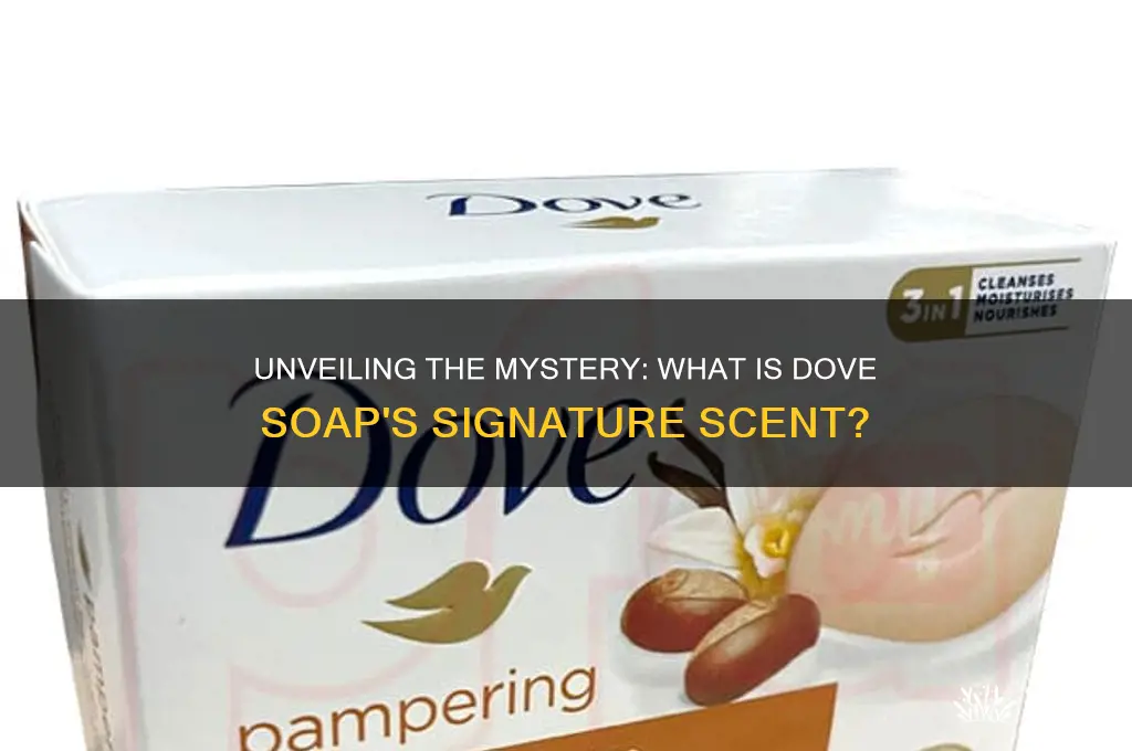 what is the dove soap scent supposed to be