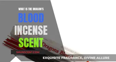 Discover Dragon's Blood Incense: A Sweet, Earthy Aroma
