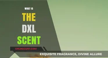 Unveiling the Mystery: Understanding the DXL Scent Phenomenon