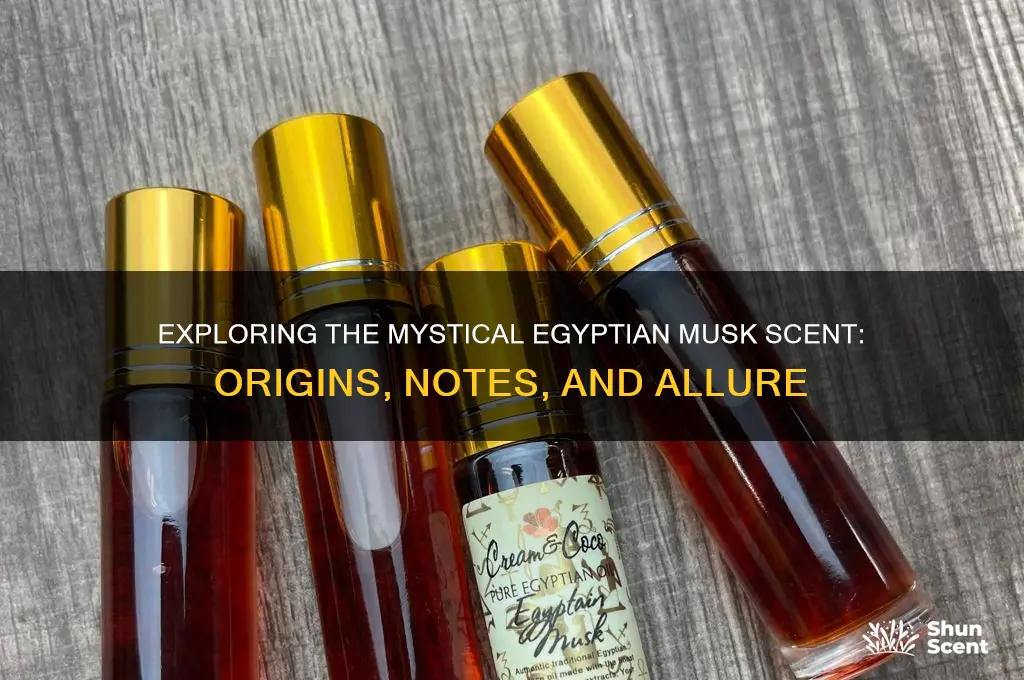 what is the egyptian musk scent
