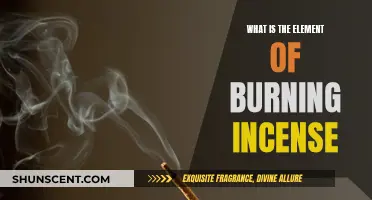 Incense Burning: The Ancient Art of Scent and Ritual
