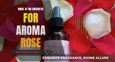 The Mystical Energy of Rose Aromas