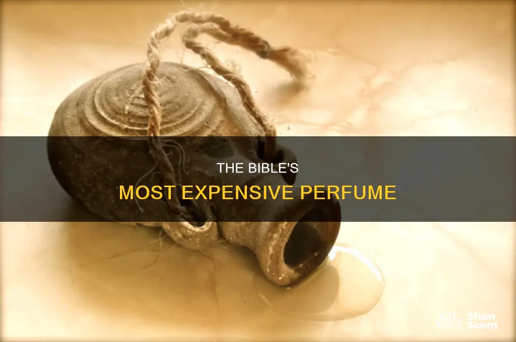 what is the expenisve perfume in the bible