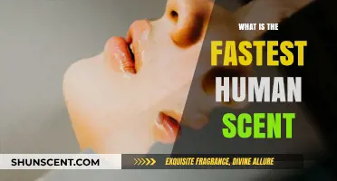 Exploring the Fastest Human Scent: Speed, Science, and Olfactory Limits