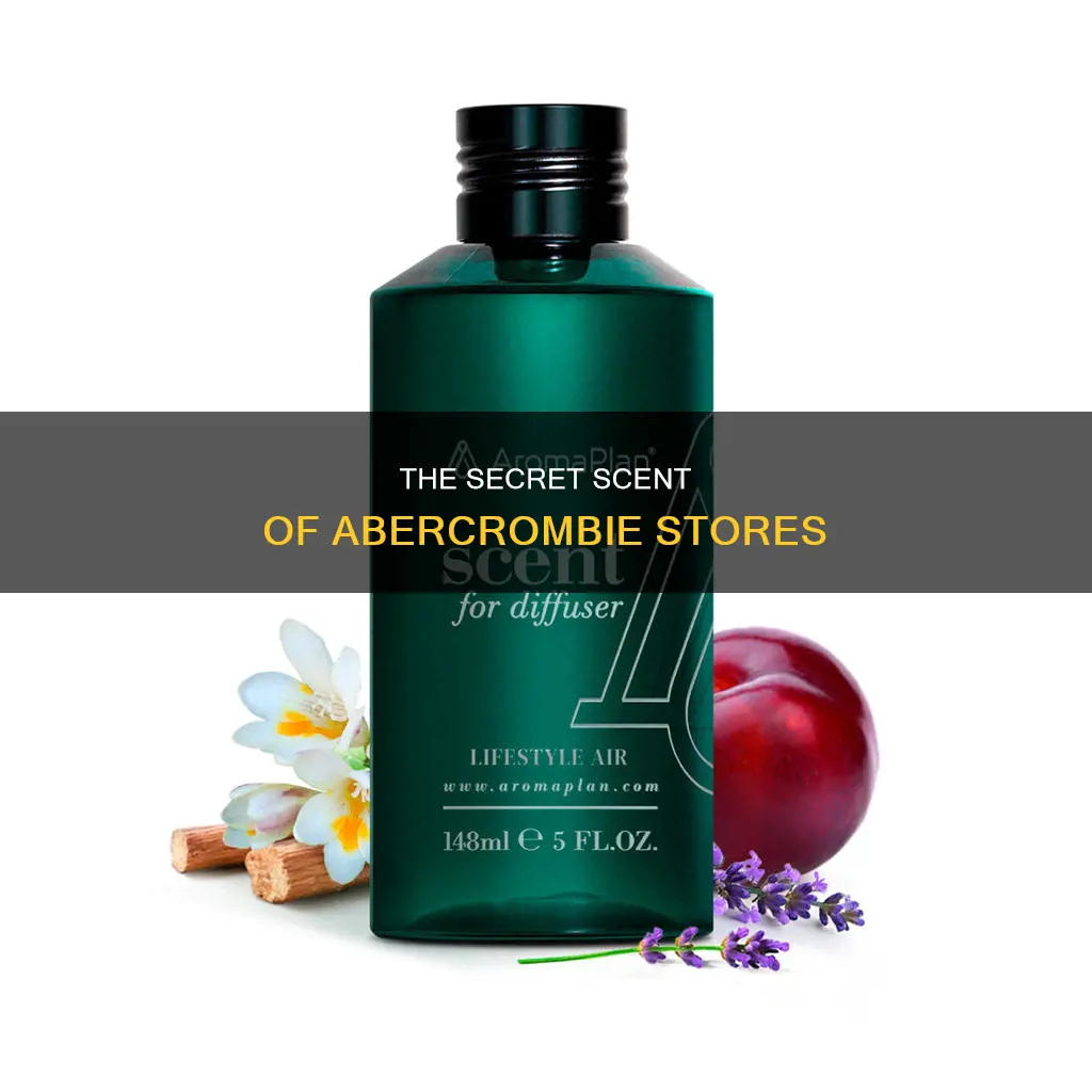 what is the fragrance in abercrombie stores