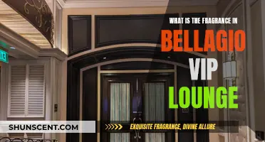 The Alluring Scent of Bellagio's VIP Lounge