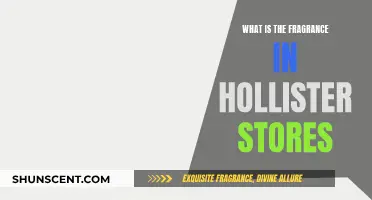 Hollister Stores: The Secret Behind Their Signature Scent