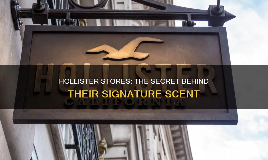 what is the fragrance in hollister stores