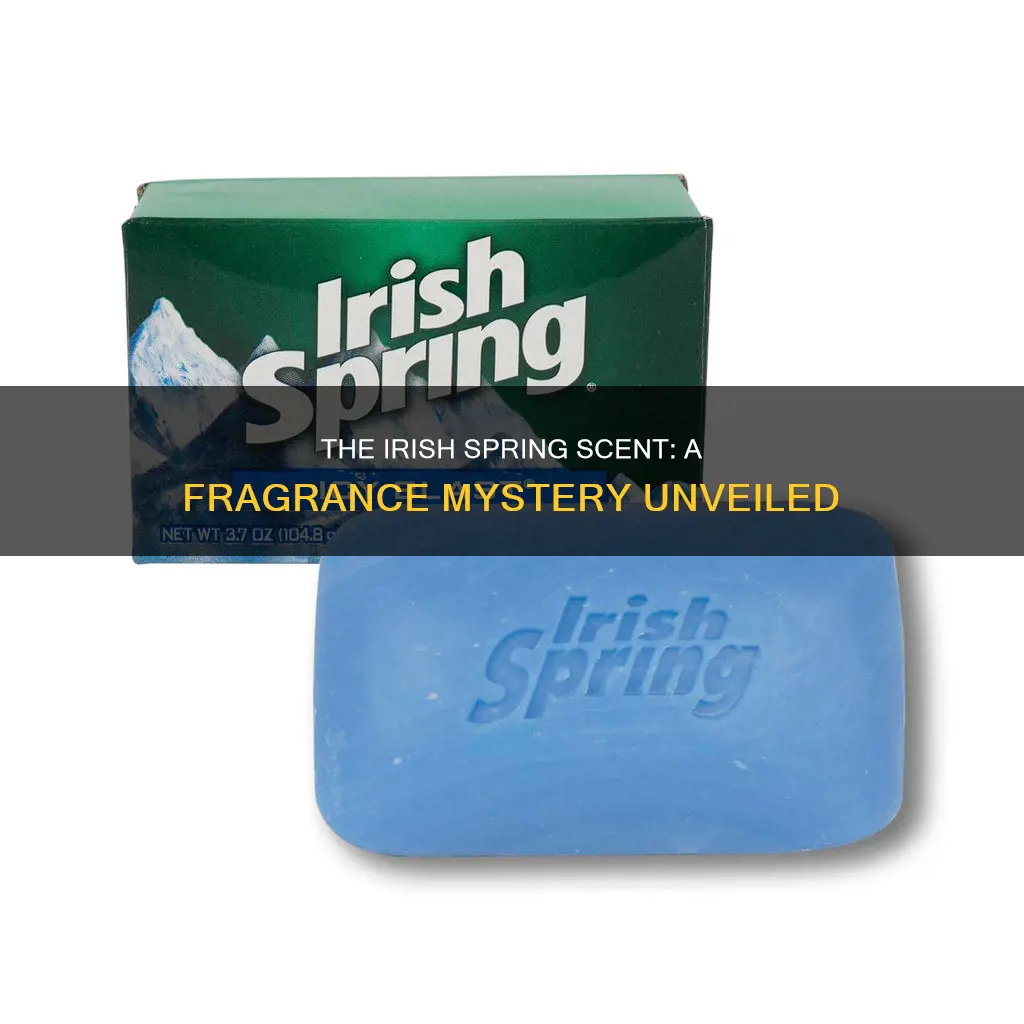 what is the fragrance in irish spring soap