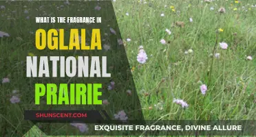 Discovering the Fragrance of Oglala National Prairie