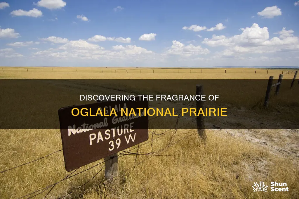 what is the fragrance in oglala national prairie