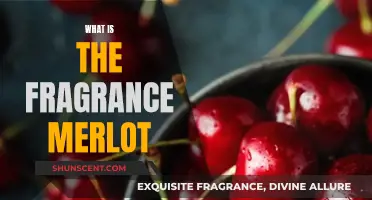 The Sweet and Fruity Fragrance of Merlot