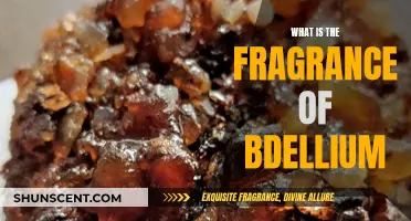 The Ancient Scent of Bdellium: Unveiling its Fragrance