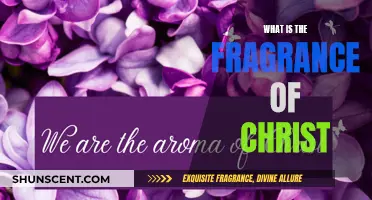 The Sweet Fragrance of Christ's Love