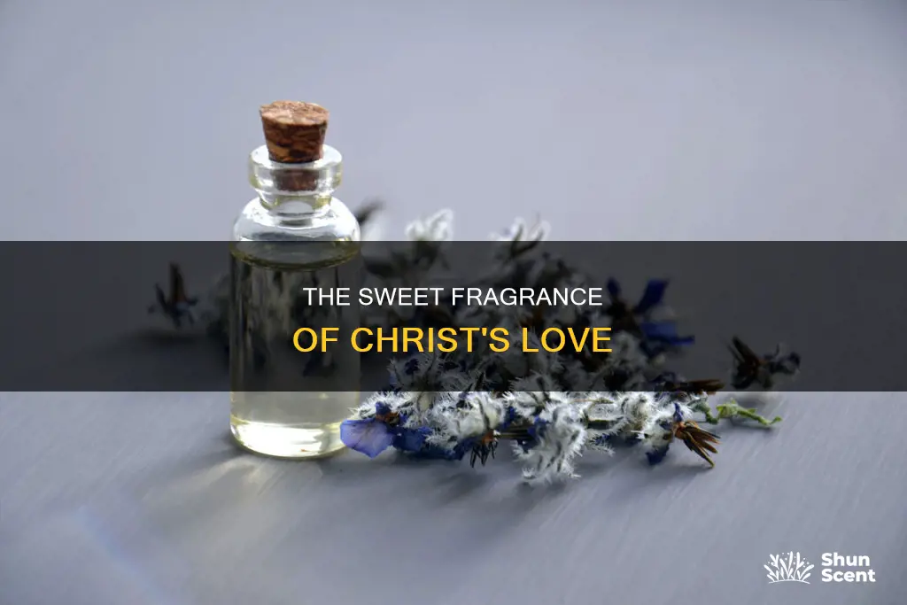 what is the fragrance of christ