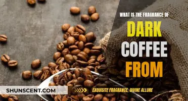 The Dark Coffee's Aroma: A Sensory Journey