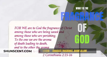 The Divine Scent: Fragrance of God