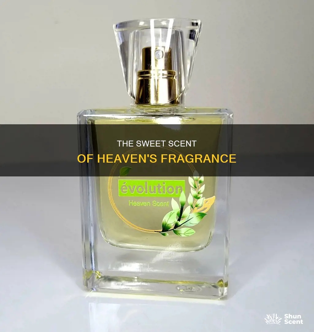 what is the fragrance of heaven