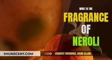 The Captivating Scent of Neroli: A Fragrant Journey