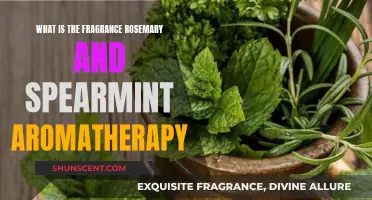 Rosemary and Spearmint Aromatherapy: A Refreshing, Herbal Fragrance