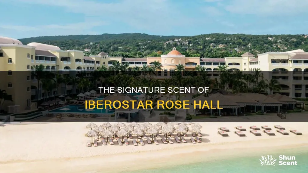 what is the fragrance used at iberostar rose hall