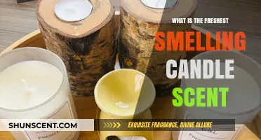 Discover the Freshest Smelling Candle Scent for a Revitalizing Ambiance