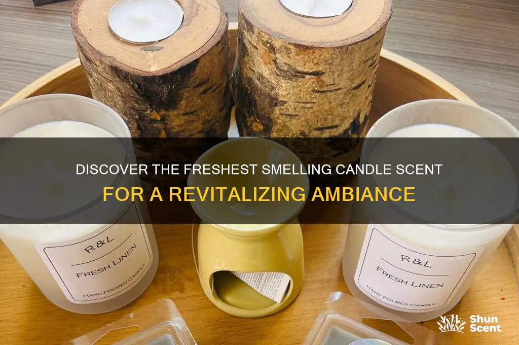 what is the freshest smelling candle scent