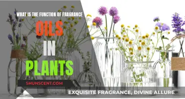 The Secret Power of Fragrance Oils in Plants