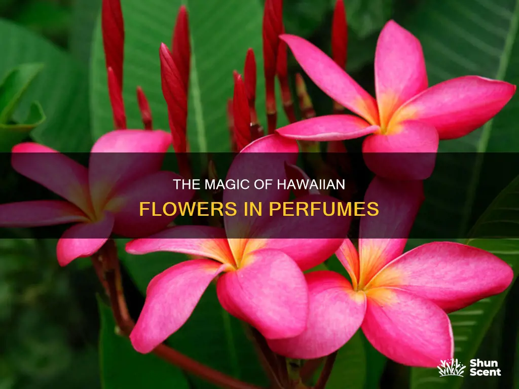what is the hawaiian flower popular to make perfume