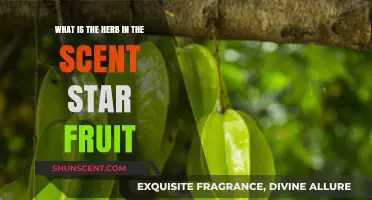 Unveiling the Herb Behind Star Fruit's Unique and Refreshing Scent