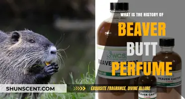 Beaver Butt Perfume: A Historical Scent