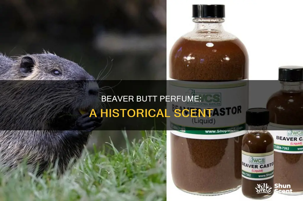 what is the history of beaver butt perfume
