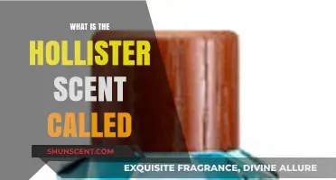 Unveiling Hollister's Signature Scent: What is the Fragrance Called?